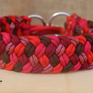 collier en paracorde pour chien