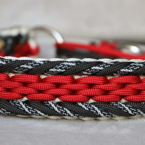 collier en paracorde pour chien