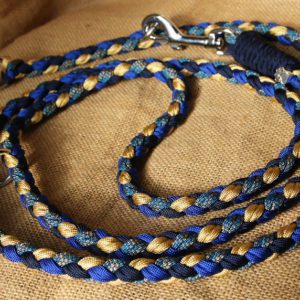 laisse 3points en paracorde