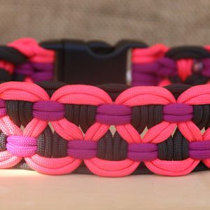 collier en paracorde pour chien