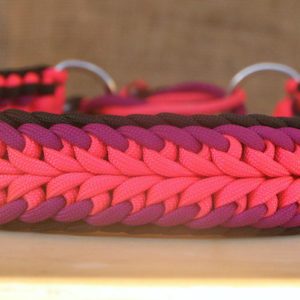 collier en paracorde pour chien