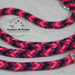 laisse 3 points en paracorde