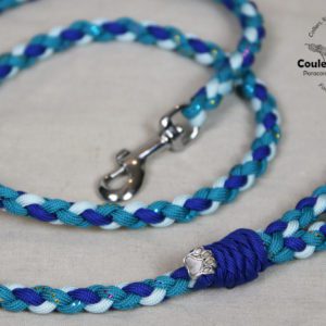 laisse en paracorde pour petit chien