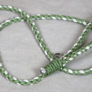 laisse en paracorde pour petit chien