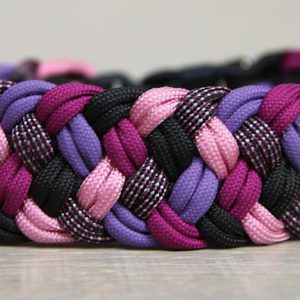 collier pour chien en paracorde