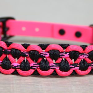 collier en paracorde pour chien