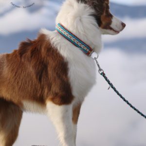 collier en paracorde pour chien