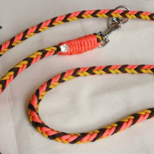 laisse pour chien en paracorde