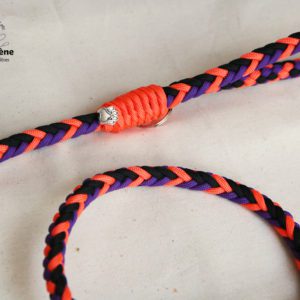 laisse pour chien en paracorde