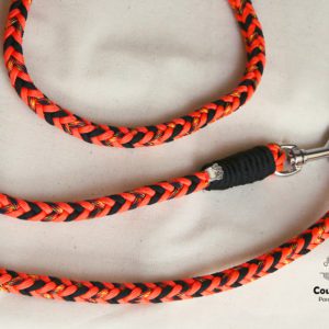 laisse pour chien en paracorde